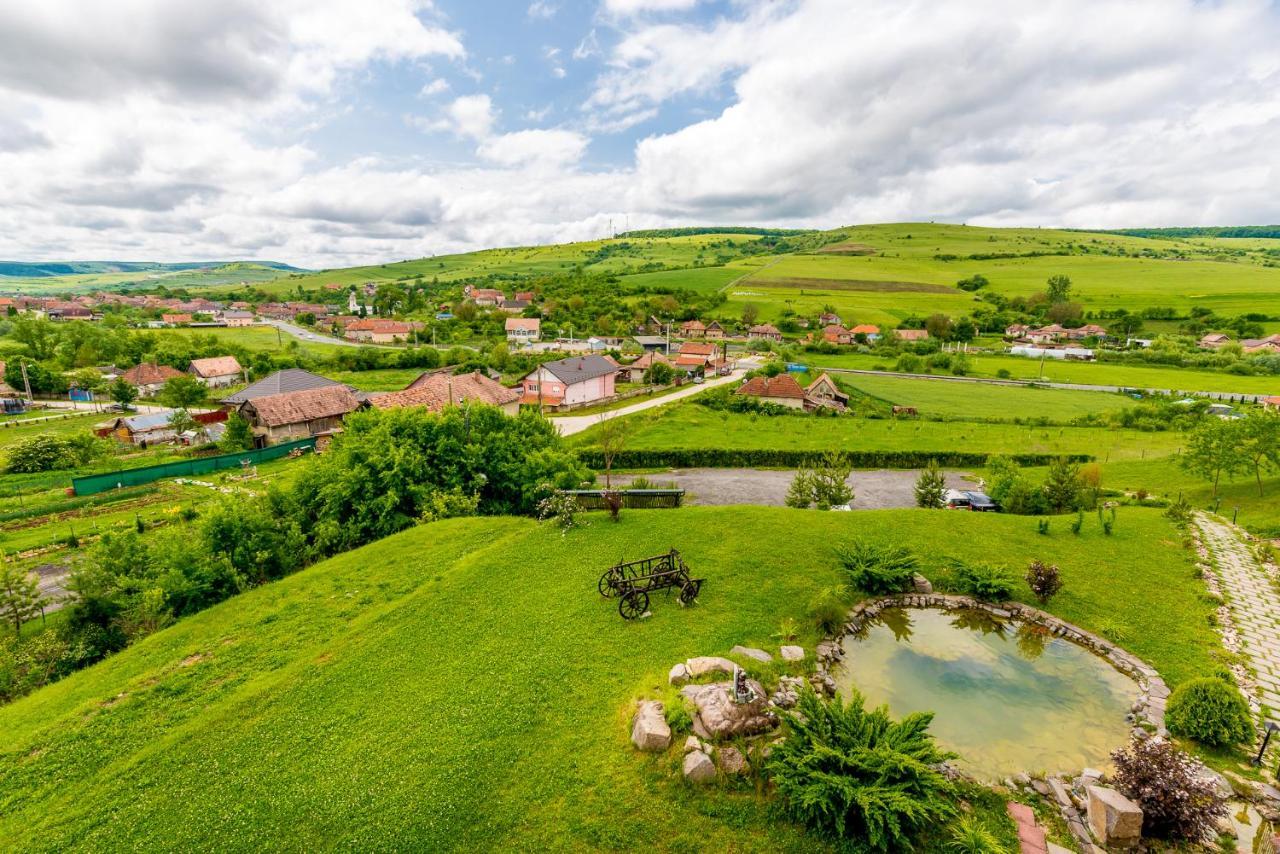Pensiunea Armonia Nădăşelu Exterior foto